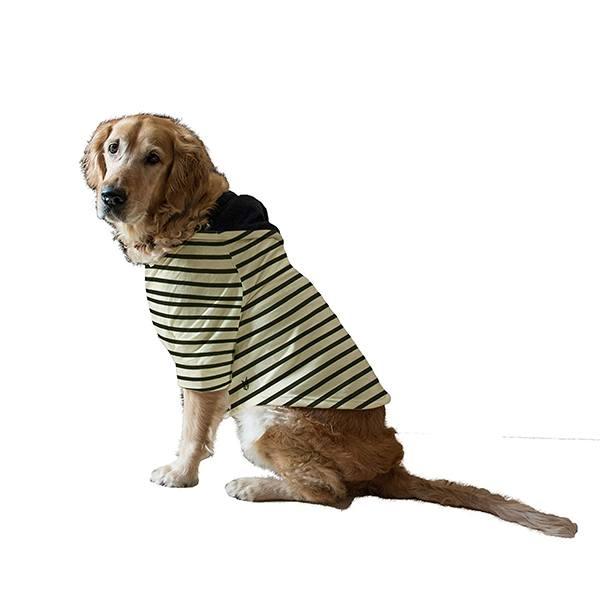 Ecru Navy Blue Customized Striped Full Sleeves with Drawstring Dog Jumper Hoodie, Autumn Winter Apparel