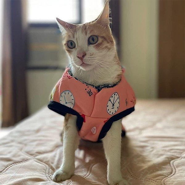 Peach Customized Pet Dog Jacket With Soft Fleece For Small Dogs, Cats