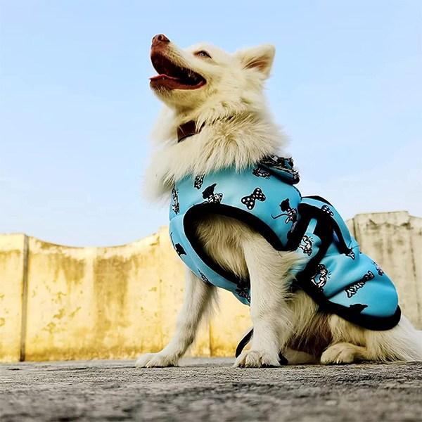 Sky Blue Customized Pet Dog Dress, Windproof Fur Jacket For Small, Medium Dogs