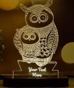 Owls Customized Acrylic Table Frame LED Light Lamp